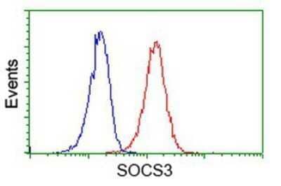 Flow Cytometry: SOCS-3 Antibody (OTI3D3) - Azide and BSA Free [NBP2-74276]