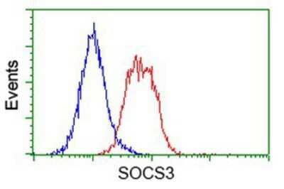 Flow Cytometry: SOCS-3 Antibody (OTI3D3) [NBP2-00817]