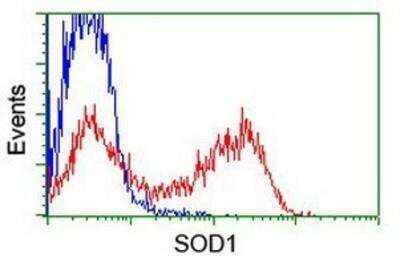 Flow Cytometry: SOD1/Cu-Zn SOD Antibody (OTI8B10) [NBP1-47993]