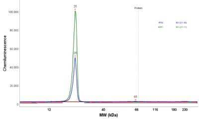 Simple Western: SOD1/Cu-Zn SOD Antibody [NBP1-90186]