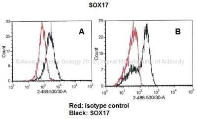 Flow Cytometry: SOX17 Antibody [NBP1-80362]