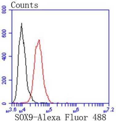 Flow Cytometry: SOX9 Antibody (SN74-09) [NBP2-67690]