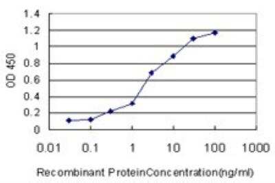 ELISA: SP1 Antibody (1A5) [H00006667-M02]