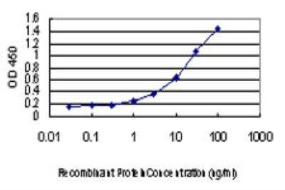 ELISA: SPG3A Antibody (1B9) [H00051062-M03]