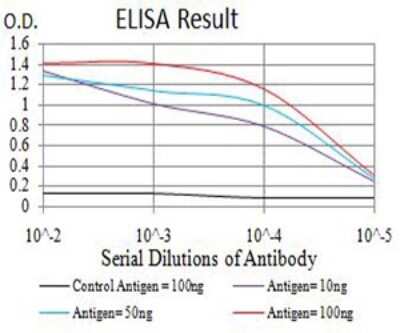 ELISA: SPG3A Antibody (1F6B12) - BSA Free [NBP2-61886]