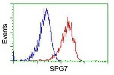 Flow Cytometry: SPG7 Antibody (OTI1C1) - Azide and BSA Free [NBP2-74327]