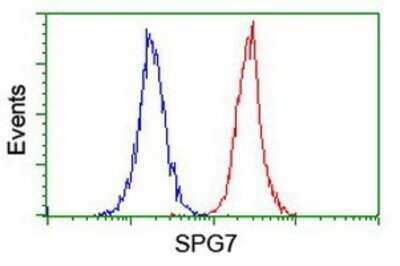 Flow Cytometry: SPG7 Antibody (OTI1C1) - Azide and BSA Free [NBP2-74327]
