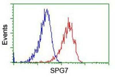 Flow Cytometry: SPG7 Antibody (OTI1C1) [NBP2-01860]