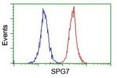 Flow Cytometry: SPG7 Antibody (OTI1C1) [NBP2-01860]