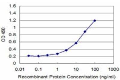 ELISA: SPOP Antibody (3E2) [H00008405-M04]