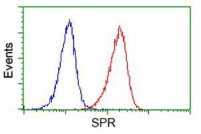 Flow Cytometry: SPR Antibody (OTI4F5) - Azide and BSA Free [NBP2-74344]