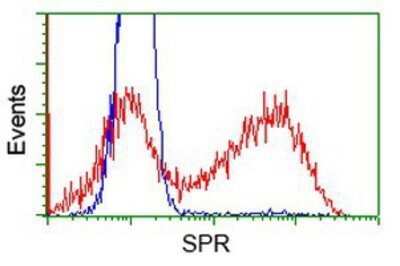 Flow Cytometry: SPR Antibody (OTI4F5) - Azide and BSA Free [NBP2-74344]
