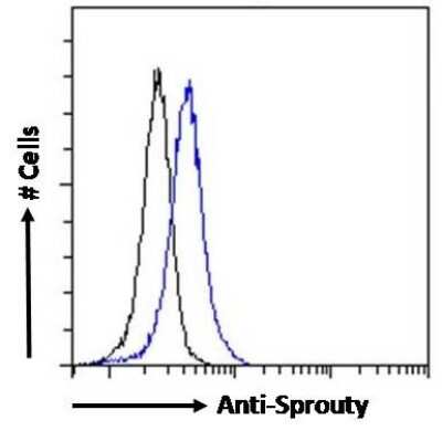 Flow Cytometry: SPRY1 Antibody [NBP1-51918]