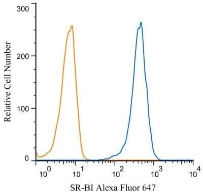 Flow Cytometry: SR-BI Antibody - BSA Free [NB400-104]