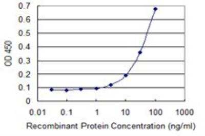 ELISA: SRP68 Antibody (3A3) [H00006730-M03]