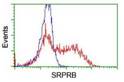 Flow Cytometry: SRPRB Antibody (OTI1D9) [NBP2-02028]