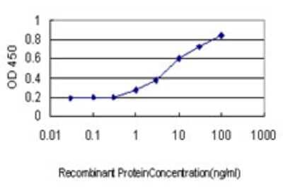 ELISA: SRp55 Antibody (6A10) [H00006431-M01]