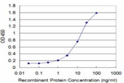 ELISA: SS18 Antibody (1C8) [H00006760-M07]