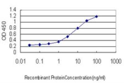 ELISA: SSBP1 Antibody (4C1) [H00006742-M10]