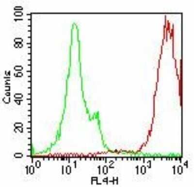 Flow (Cell Surface): SSEA-4 Antibody (MC-813-70) - Azide and BSA Free [NBP2-80963]