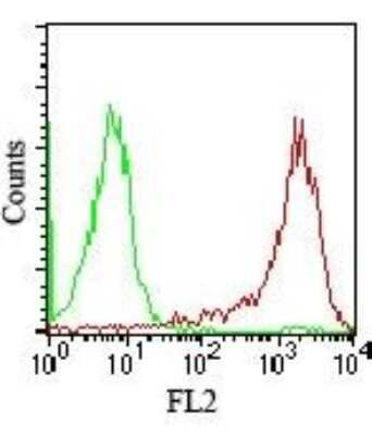 Flow Cytometry: SSEA-4 Antibody (MC-813-70) - Azide and BSA Free [NBP2-80963]