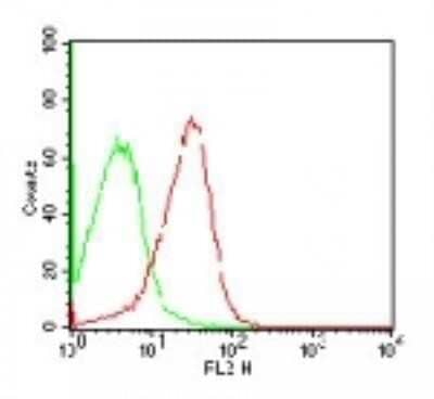 Flow Cytometry: SSEA-4 Antibody (MC-813-70) - Azide and BSA Free [NBP2-80963]