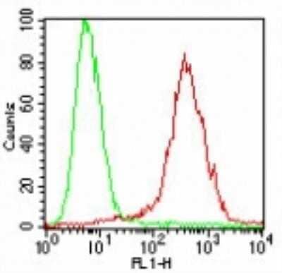 Flow (Cell Surface): SSEA-4 Antibody (MC-813-70) [NBP2-26644]