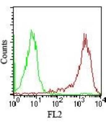 Flow Cytometry: SSEA-4 Antibody (MC-813-70) [NBP2-26644]