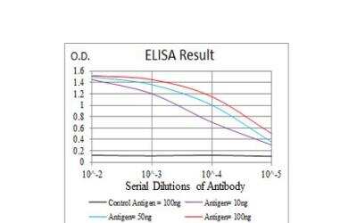 ELISA: SSH1 Antibody (1A5C8) - BSA Free [NBP2-52569]