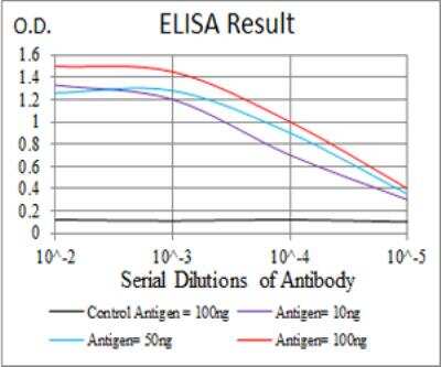 ELISA: SSH1 Antibody (6C11G9) - BSA Free [NBP2-52568]