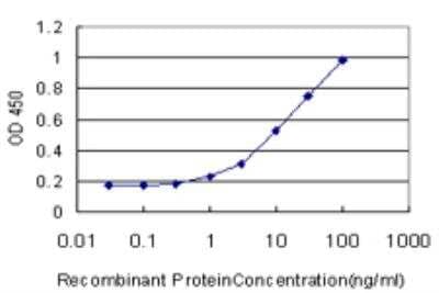 ELISA: SSH2 Antibody (1E11) [H00085464-M07]