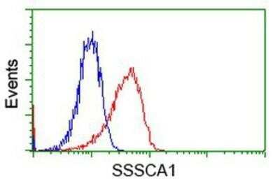Flow Cytometry: SSSCA1 Antibody (OTI2F5) [NBP2-03198]