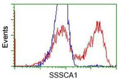 Flow Cytometry: SSSCA1 Antibody (OTI2F5) [NBP2-03198]