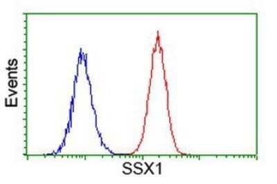 Flow Cytometry: SSX1 Antibody (OTI1E10) - Azide and BSA Free [NBP2-74362]