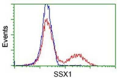 Flow Cytometry: SSX1 Antibody (OTI1E10) - Azide and BSA Free [NBP2-74362]