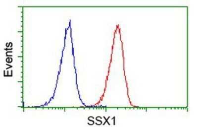 Flow Cytometry: SSX1 Antibody (OTI1E10) - Azide and BSA Free [NBP2-74362]