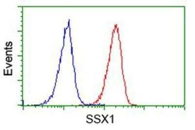 Flow Cytometry: SSX1 Antibody (OTI1E10) [NBP2-00614]