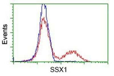 Flow Cytometry: SSX1 Antibody (OTI1E10) [NBP2-00614]