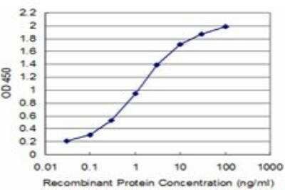 ELISA: SSX2 Antibody (1A4) [H00006757-M01]