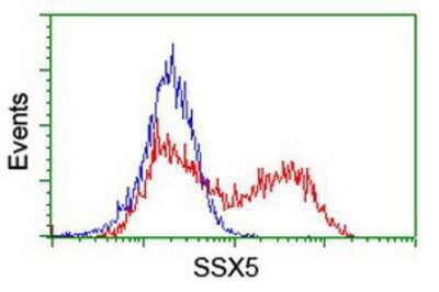 Flow Cytometry: SSX5 Antibody (OTI3G6) [NBP2-01842]