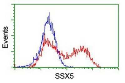 Flow Cytometry: SSX5 Antibody (OTI3G6) - Azide and BSA Free [NBP2-74372]