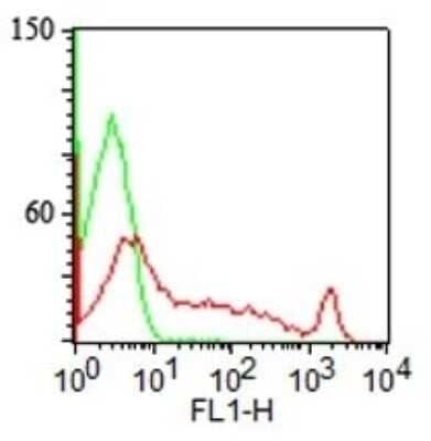 Flow Cytometry: ST6 Gal Sialyltransferase 1/ST6GAL1/CD75 Antibody (LN-1) [NBP2-44669]