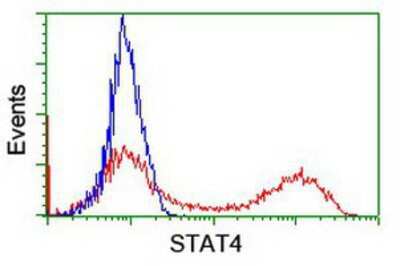 Flow Cytometry: STAT4 Antibody (OTI2F3) [NBP2-00851]