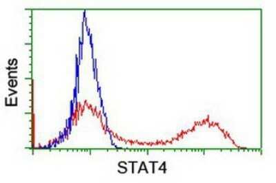 Flow Cytometry: STAT4 Antibody (OTI2F3) - Azide and BSA Free [NBP2-74389]