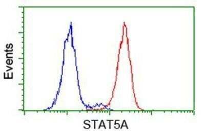 Flow Cytometry: STAT5A Antibody (OTI9F7) - Azide and BSA Free [NBP2-74392]