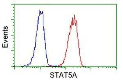 Flow Cytometry: STAT5A Antibody (OTI9F7) - Azide and BSA Free [NBP2-74392]