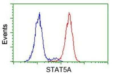 Flow Cytometry: STAT5A Antibody (OTI9F7) [NBP2-00622]