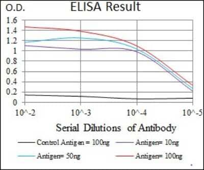 ELISA: STAT5A Antibody (6D4) - BSA Free [NBP2-37441]