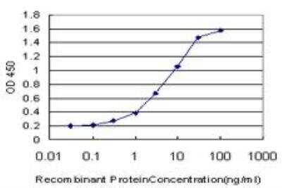 ELISA: STAT5b Antibody (2D1) [H00006777-M03]