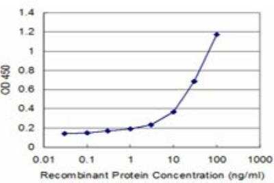ELISA: STCH Antibody (1H8) [H00006782-M02]